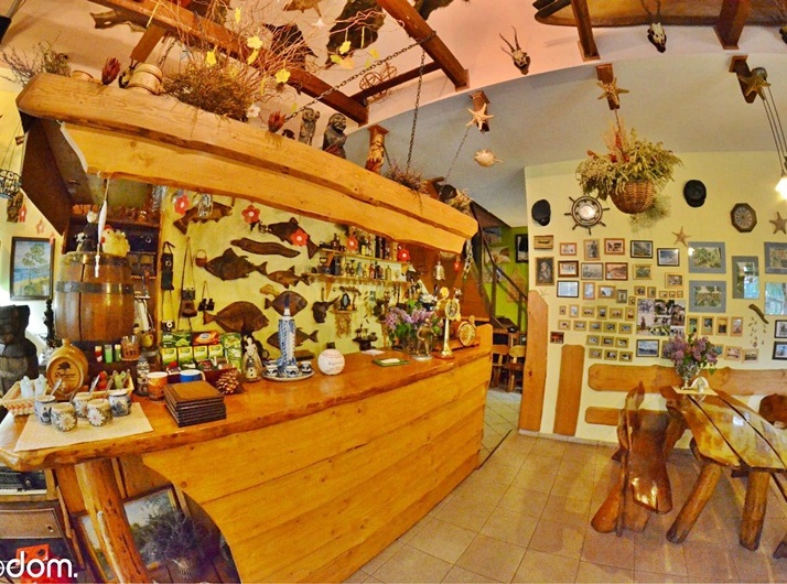 BAR Holstein