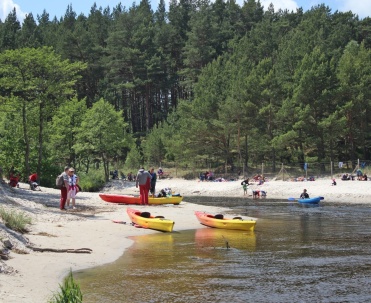 Kajaki w Dębkach &ndash; malowniczy spływ Piaśnicą dla każdego